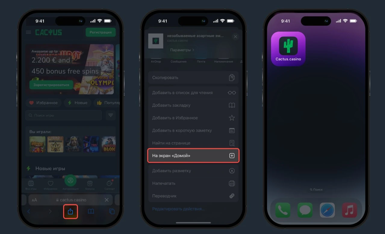установка приложения cactus iOS